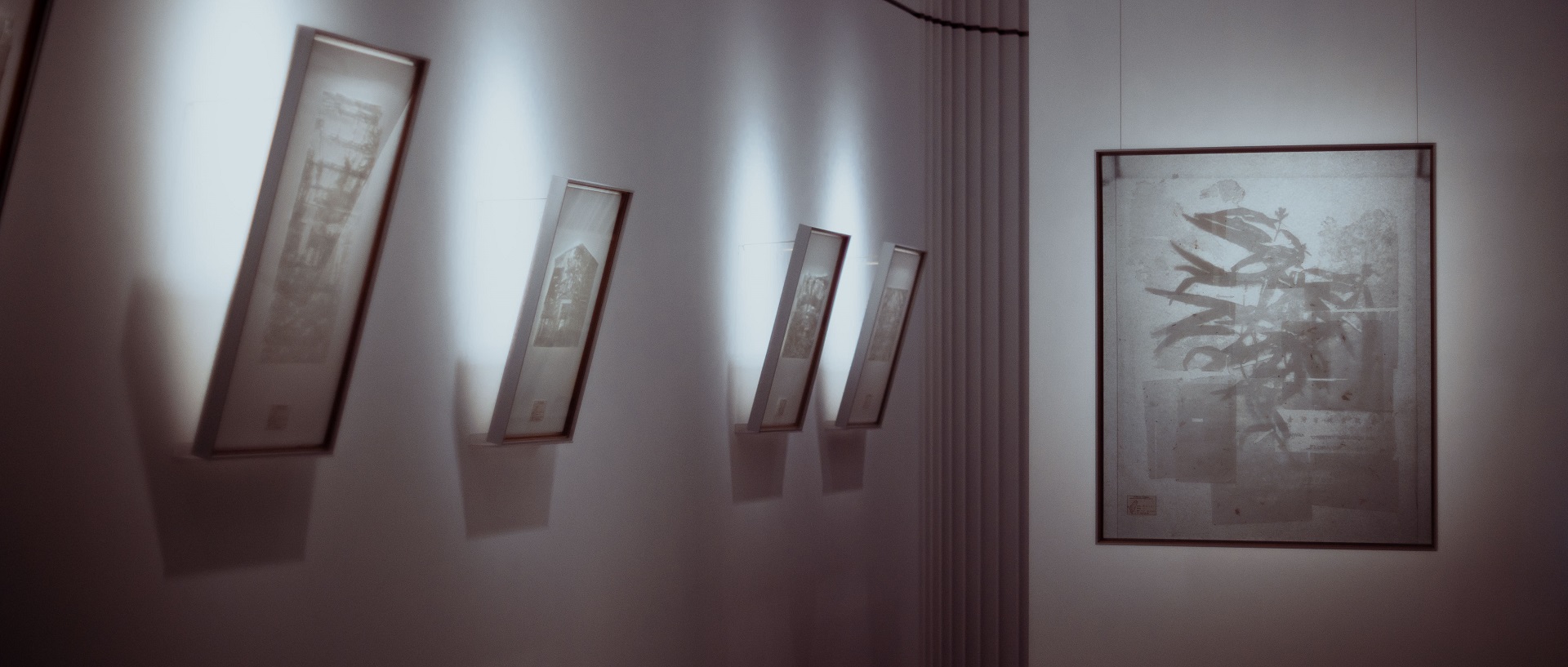 無華之境：楊忠銘個展 | 版創藝術 展覽FLORA of FORMOSA: Solo Exhibition of Yang Chung Ming